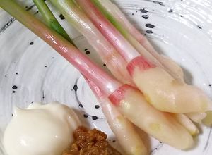 谷中生姜(葉生姜)**味噌＋マヨネーズ-レシピのメイン写真