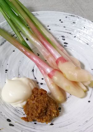 谷中生姜(葉生姜)**味噌＋マヨネーズ-レシピのメイン写真