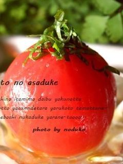トマトの浅漬け 和と洋-レシピのメイン写真