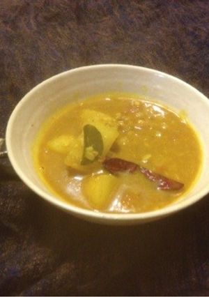夏野菜 冬瓜と豆のカレー☆南インドカレー-レシピのメイン写真