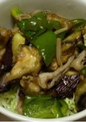 茄子とピーマンの照り焼き丼-レシピのメイン写真