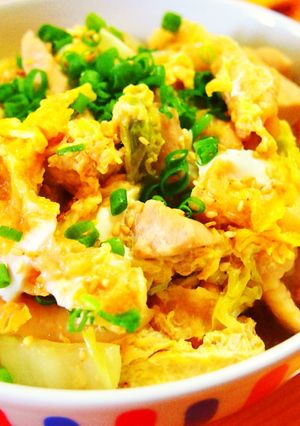 むね肉と白菜のヘルシーきつねどんぶり☆-レシピのメイン写真
