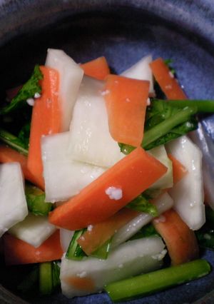 春野菜の塩麹漬-レシピのメイン写真