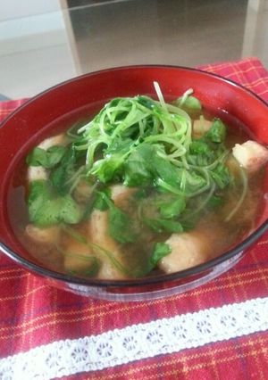 つまみ菜と油揚げのお味噌汁-レシピのメイン写真