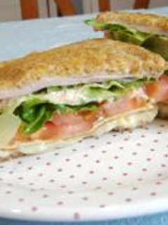 ホットサンドウィッチ♪-レシピのメイン写真