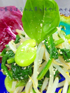 バジル香るほうれん草ともやしのナムル-レシピのメイン写真