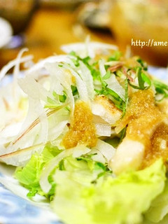 鶏むね肉のさっぱりおろしサラダ-レシピのメイン写真