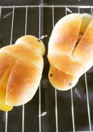 虫パン♪光る蛍のパン-レシピのメイン写真
