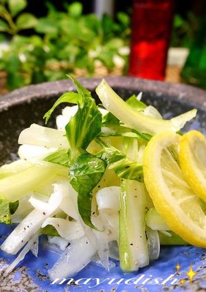 おつまみいかくんの混ぜるだけサラダ-レシピのメイン写真