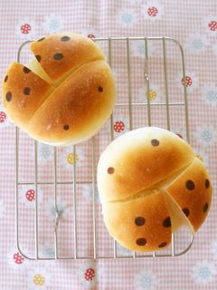 虫パン♪てんとう虫のコッペパン-レシピのメイン写真