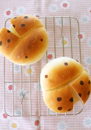 虫パン♪てんとう虫のコッペパン-レシピのメイン写真