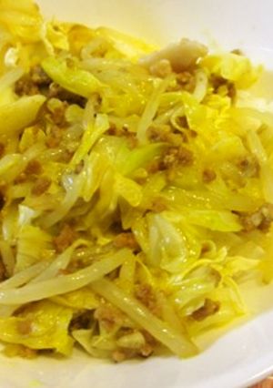キャベツともやしのヘルシー丼-レシピのメイン写真