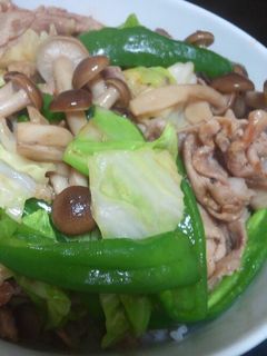 冷蔵庫をスッキリ!残り食材の簡単野菜炒め-レシピのメイン写真