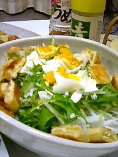 水菜と大根のサラダ 焼き油揚げのせ-レシピのメイン写真