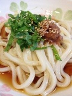梅しそ冷やしうどん-レシピのメイン写真