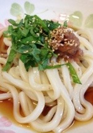 梅しそ冷やしうどん-レシピのメイン写真