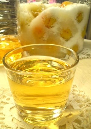 お安く出来る＊梅シロップ＊-レシピのメイン写真