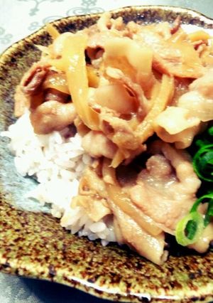 豚丼★-レシピのメイン写真