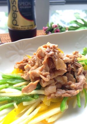 シャキシャキ野菜の肉あんかけ☆青椒肉絲風-レシピのメイン写真
