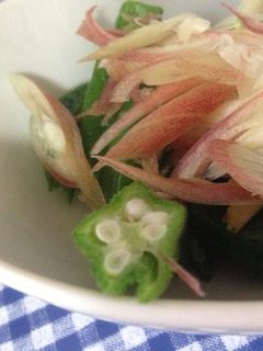 オクラをみょうがでさっぱりと。-レシピのメイン写真