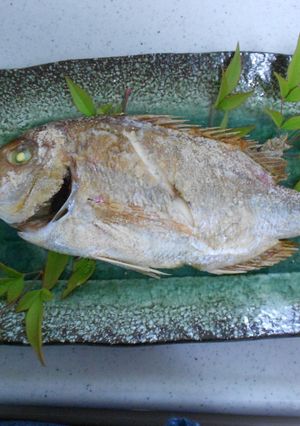 鯛の塩焼き-レシピのメイン写真