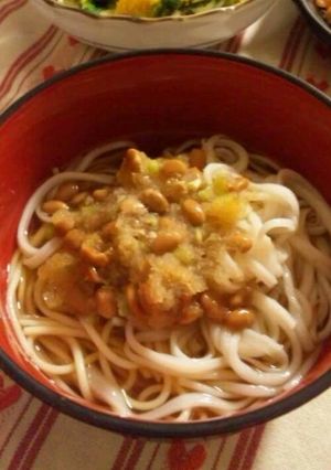 納豆おろしうどん♪-レシピのメイン写真