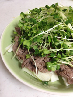 牛肉と長芋のかいわれ散らしサラダ☆-レシピのメイン写真