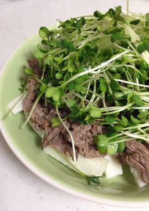 牛肉と長芋のかいわれ散らしサラダ☆-レシピのメイン写真