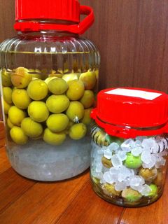 梅ジュース(覚え書き)-レシピのメイン写真