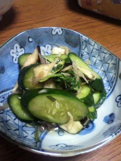 常備菜、夏野菜のめんつゆ漬。-レシピのメイン写真