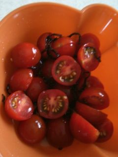 トマト塩昆布サラダ-レシピのメイン写真