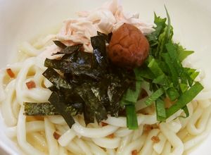 ささみと梅のさっぱり冷やしうどん-レシピのメイン写真