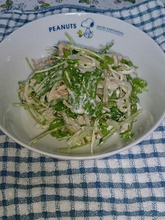 野菜たっぷりもやしサラダ-レシピのメイン写真