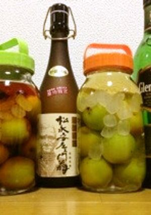 【簡単】梅漬けるだけの梅酒２：洋酒＆焼酎-レシピのメイン写真