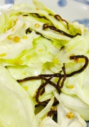 おつまみに最適!キャベツの塩昆布サラダ-レシピのメイン写真