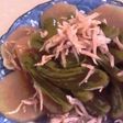 シシトウと大根の煮浸し