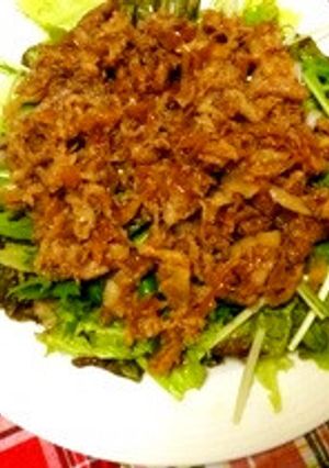 野菜も美味しい☆生姜焼きサラダ。-レシピのメイン写真