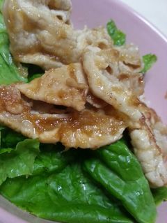 豚丼★にんにくと生姜の万能タレで!-レシピのメイン写真