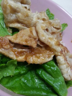 豚丼★にんにくと生姜の万能タレで!-レシピのメイン写真
