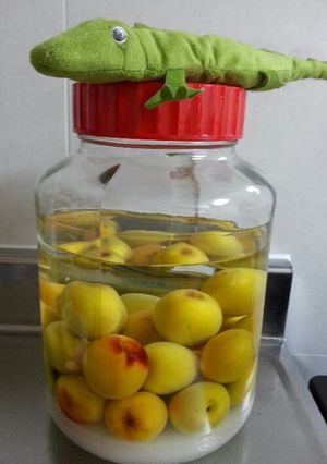 おばあちゃん秘伝の梅酒-レシピのメイン写真