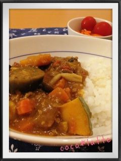 夏だ!!カロリーOFF*カレー-レシピのメイン写真