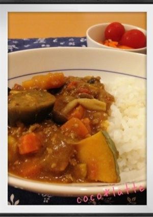 夏だ！！カロリーOFF＊カレー-レシピのメイン写真