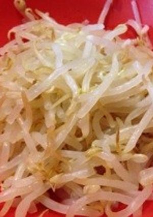 洗い物なし♪レンジdeもやしの下ゆで♪-レシピのメイン写真