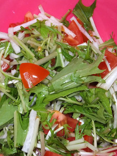 水菜トマト大根の柚子コショウ入りサラダ-レシピのメイン写真