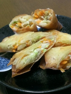 冷蔵庫の残り物春巻き-レシピのメイン写真