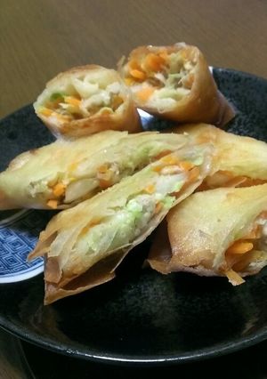 冷蔵庫の残り物春巻き-レシピのメイン写真
