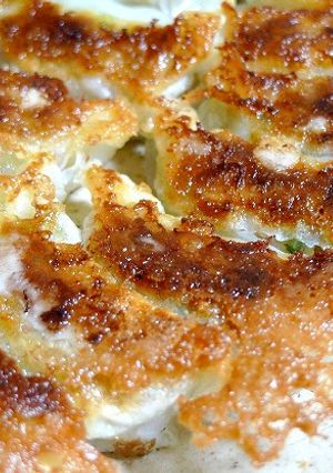 サッパリ！初夏にシソ餃子-レシピのメイン写真