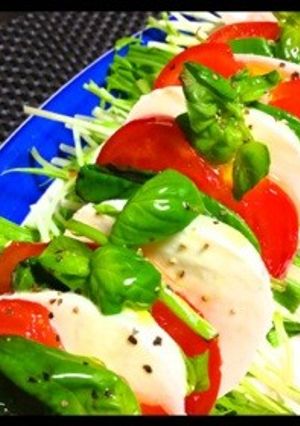 5分でできる!水菜入り簡単カプレーゼ-レシピのメイン写真