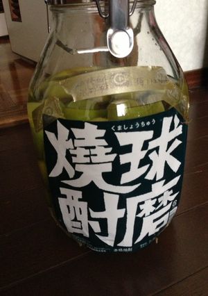梅酒☆本格焼酎ver-レシピのメイン写真