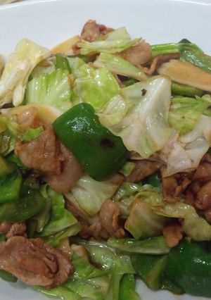 うちの回鍋肉-レシピのメイン写真